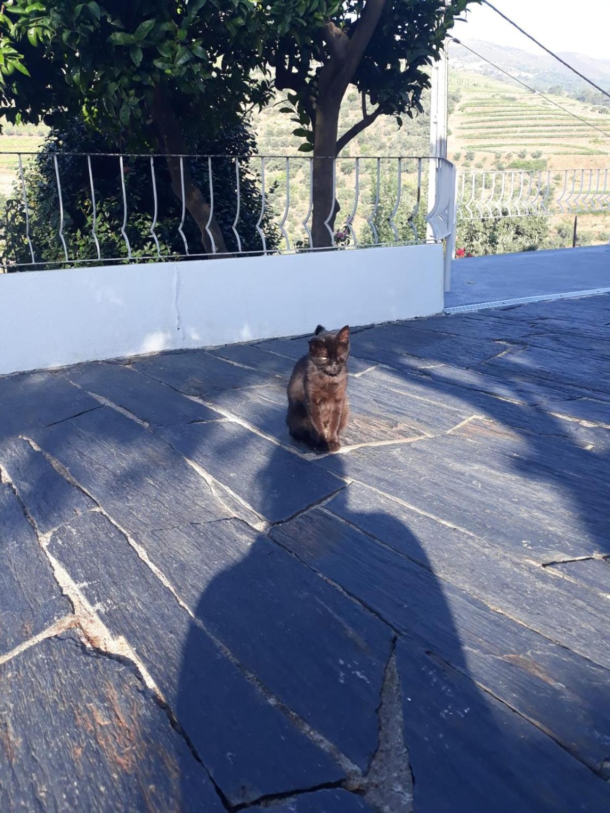 Casa Das Laranjeiras Pinhao Bagian luar foto